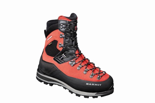 Mammut Meridian GTX